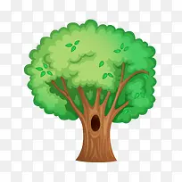 大树-空若网 大树-空若网