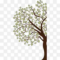 树叶-空若网 树叶-空若网