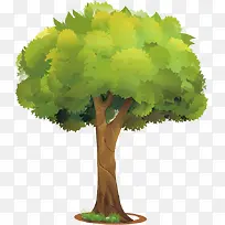 ʸÁ¿´óÊ÷-¿ÕÈôÍø ʸÁ¿´óÊ÷-¿ÕÈôÍø