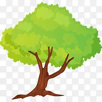 ����-������