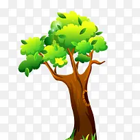 大树-空若网 大树-空若网