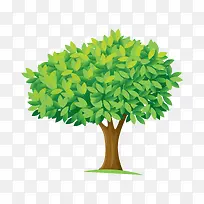 ����-������