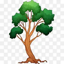 ´óÊ÷-¿ÕÈôÍø ´óÊ÷-¿ÕÈôÍø