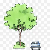 卡通大树-空若网 卡通大树-空若网