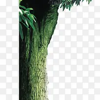 ����-������