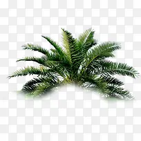 树-空若网 树-空若网