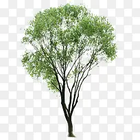 ��-������