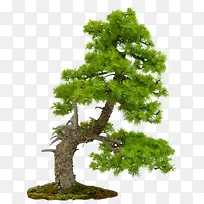 ԰�־��۴���-������