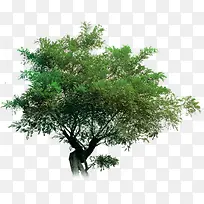 ����-������