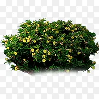 ��-������