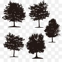 大树-空若网 大树-空若网