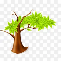 ��֦-������