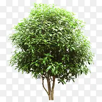 ����-������