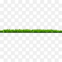 绿色园林植物大树-空若网 绿色园林植物大树-空若网