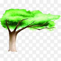 ������ɫˮ�ʴ���-������