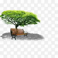 公园春天植物大树-空若网 公园春天植物大树-空若网