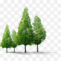 春天绿色自然大树-空若网 春天绿色自然大树-空若网
