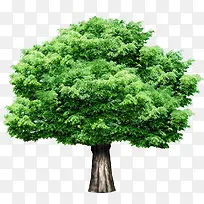 ԰���̻���������-������