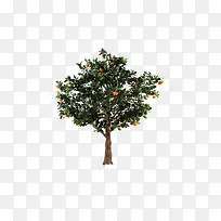 ��ɫ������-������