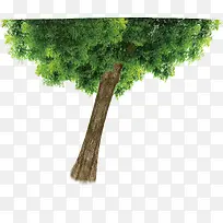 绿色手绘清爽大树-空若网 绿色手绘清爽大树-空若网