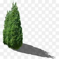 春天景观公园大树-空若网 春天景观公园大树-空若网