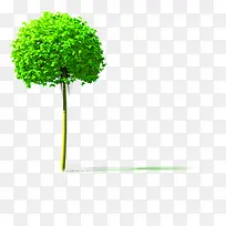 春天环保圆形大树-空若网 春天环保圆形大树-空若网