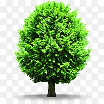 ������ɫ��������-������