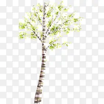 ����������ɫ����-������