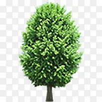 �������۴�������-������