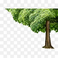 �������۴�������-������