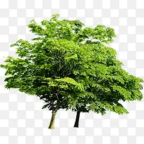 ������ɫ�羰����-������