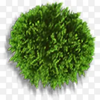 春季绿色郊外大树-空若网 春季绿色郊外大树-空若网