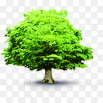 绿色卡通春天大树-空若网 绿色卡通春天大树-空若网