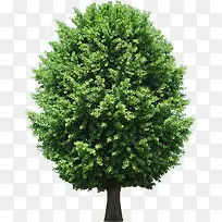 �������⾰�۴���-������