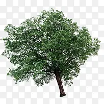 ��б������������-������