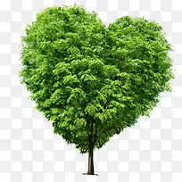 ���Ļ�������װ��-������