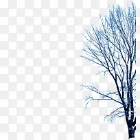 蓝色春天风景大树-空若网 蓝色春天风景大树-空若网
