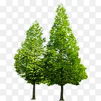 ����������ɫ����-������