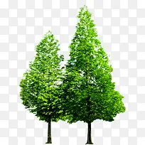 �������չ�԰����-������