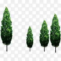 创意手绘摄影绿色的大树-空若网 创意手绘摄影绿色的大树-空若网