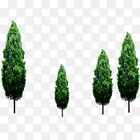 ��������ֲ�����-������