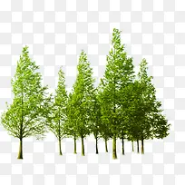 �������վ��۴���-������