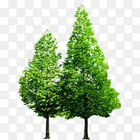 春季清新植物大树-空若网 春季清新植物大树-空若网