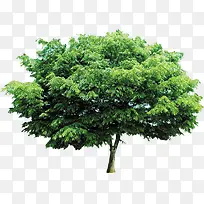 �ֻ����Ұ�����-������