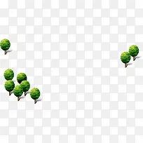 圆形绿化植物大树-空若网 圆形绿化植物大树-空若网