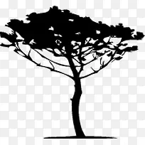 ��ɫ���ô�������-������