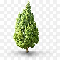 ����Ȼ������ɫ����-������