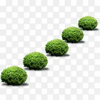 ֱ�ߴ��⾰�����-������