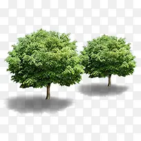 ��ӰЧ�����Ŵ���-������