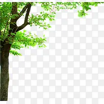 ������ɫΨ������-������